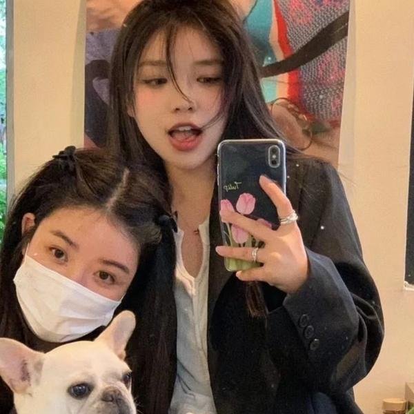 芙蓉映照千秋岁